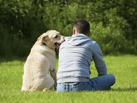 "اذا كان لك عند الكلب حاجة.. قله يا سيدي" أو" وس الكلب من تمه حتى توخد حاجتك منه"  وهو مثل يدل على  امتهان كرامة الفرد أمام غيره حتى ينول حاجته، وخاصةً مع الأوضاع السياسي في البلاد العربية التي تدفعهم إلى مجاملة المسؤولين دائما!