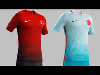 المجموعة الرابعة: منتخب تركيا