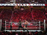 المصارعة (ريسيلمينيا): قيمة العلامة التجارية لعام 2014: 105 مليون دولار، قيمة العلامة التجارية لعام 2015: 170 مليون دولار.