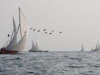 Emirati competitors sail their dhows as they take part in the Dalma Sailing Festival. (KARIM SAHIB / AFP)