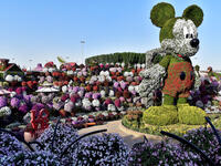 Dubai Miracle Garden recently created a 18-metre floral Mickey Mouse. (Shutterstock/ File Photo)
