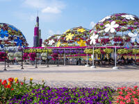 Beautiful Miracle Garden at Dubai, UAE. (Shutterstock/ File Photo)