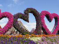 Giant heart shaped sculptures made from flowers at Dubai Miracle Garden. (Shutterstock/ File Photo)