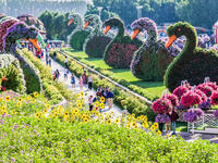 Beautiful Flourish Duck and Flower Landscape Miracle Flower Garden. (Shutterstock/ File Photo)
