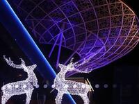 Santa's Island sparkles the brightest and brims with lively shopping and festivities at Bluewaters Dubai (Instagram)