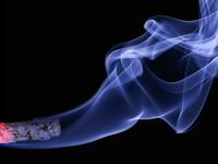 Beware of chainsmokers, whom you’ll find indoors, outdoors and even right beneath the “No Smoking” signs - even in governmental institutions. So get used to stinking of cigarette smoke. “Eau de Amman” also includes notes of diesel fumes, burnt coffee, and cat pee.