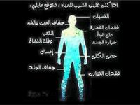 Arabic bodybuilding weightlifting 