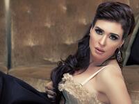  الراقصة دينا: كانت دينا تشترط قبل زواجها العرفي من رجل الأعمال حسام أبو الفتوح وجود طائرة خاصة لتنقلها وأعضاء فرقتها من مصر إلى أي بلد تنوي إحياء حفلات الزفاف الخاصة فيه، إلا أنها بعد ذلك اشترت طائرتها الخاصة والتي تتسع لـ 15 شخصاً.