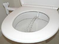 وبفتوى ليست ببعيدة عن الموضوع الجنسي، اختلف العلماء في حكم استخدام شطاف حمام في نهار رمضان على رأيين فقسم منهم رأى: "إنه مثل الحقنة الشرجية وإن دخول الماء من فتحت الشرج يفطر الصائم"، أما الرأي الثاني: "فهو لا يفسد الصيام"