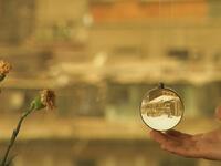 "آخر أيام المدينة": 
فلم للمخرج المصري تامر السعيد الذي عرض في مهرجان لندن السينمائي، يروي قصة مخرج يحاول أن يصنع فيلمًا عن مدينته وما تحمله من أحلام، في الوقت الذي يعاني من احتمالية أن يُطرد من شقته، في ظل استعداد المرأة التي يحب للهجرة، متذكرًا أيام طفولته.