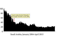 السعودية تخضع الإنترنت لرقابة شديدة. في حين أن عمليات البحث عن الجنس كانت عالية جداً قريباً من موجة ازدهار الإنترنت، شعبية البحث عنه قلت من حينها، السكان يقولون بأنه من المستحيل الوصول إلى المواقع الإباحية، وأن خوادم بروكسي لا تخدع الحكومة.