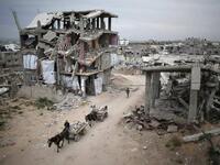 فلسطينيون يركبون عربات تجرها الحمير بين أنقاض مبان مدمرة في قطاع غزة، المباني تضررت بعد الحرب التي استمرت 50 يوماً بين إسرائيل وحماس عام 2014.