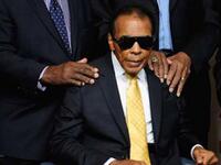 ومن مقولات  محمد على "أنا مسلم ولا يوجد شيء يمت للإسلام في قتل أناس أبرياء في باريس أو أي مكان آخر في العالم، المسلمون الحقيقيون يعرفون أن العنف الوحشي لمن يطلق عليهم (المتطرفون الإسلاميون) يتعارض مع صميم مبادئ ديننا".