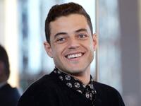 درس مالك التمثيل فى جامعه ايفانسفيل وبدأ مسيرته الفنية في هوليود مثل في العديد من الأعمال بأدوار صغيره قبل اتخاذ دور كبير له لأول مره في فيلم ليلة في المتحف (2006).