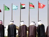 المواضيع التي طرحت على طاولة القمة كانت عن النزاعات في سوريا والعراق وليبيا واليمن، إلى جانب تشكيل قوة عربية مشتركة، وبحث آخر مستجدات المبادرة الفرنسية لاستئناف المفاوضات بين الفلسطينيين والإسرائيليين