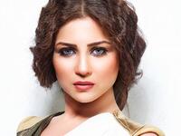 تقاضت النجمة “مى عز الدين” نظير بطولتها لمسلسل “وعد” المذاع بشكل حصري على قناة MBC مصر مبلغ مليون دولار.
