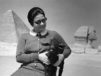 كلب الست: في الخمسينيات عض كلب أم كلثوم أحد المارة وبرأتها النيابة؛ فاعترض أساتذة جامعة الحقوق على قرار النيابة واعتبروه محاباة، فكتب أحمد فؤاد نجم الشاعر سليط اللسان قصيدة "كلب الست".
