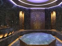 باليوني SPA في باليوني فندق لندن (لندن)، انطلق هذا المنتجع في عام 2015 بعد عملية تغيير شاملة، وهو عمل فني مستوحى من الطبيعة، والألوان الدافئة والديكور الخشبي الداكن.