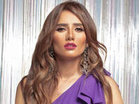 الفنانة زينة واتهامات تعديها على عائلة أمريكية في الإمارات، إلا أنه فيما بعد خرجت بتصريح وبيان رسمي لتكشف أن سبب المشاجرة هو اعتداء العائلة الأمريكية على خصوصيتها ومحاولة تصويرها دون إذن وعلى إثره حصلت المشكلة.
