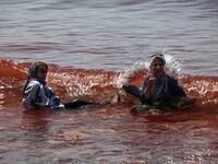 Visitors paddle in the water on the Hormuz Island in the Gulf Strait of Hormuz, off the Iranian port city of Bandar Abbas, on April 29, 2019.  ATTA KENARE / AFP
