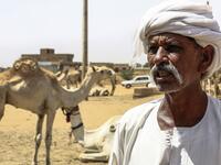 A camel trader gives an interview at El-Molih camel market west of the Sudanese capital's twin city of Omdurman  ASHRAF SHAZLY / AFP