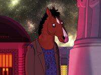 BoJack Horseman: عُرضت أولى حلقاته في 22 أغسطس 2014، وهو رسوم متحركة للكبار فقط، وعلى الرغم من الاستقبال غير الحماسي في البداية فإن المسلسل سريعًا ما اكتسب احترام المشاهدين والنقاد، وذلك لتناوله مواضيع مثل الاكتئاب وكرب ما بعد الصدمة والإدمان والعنصرية بصورة ناضجة، تم عرض موسمه السادس والأخير في يناير 2020.