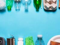 2018: عبارة "الاستخدام - الواحد / Single-use"، التي تشير إلى منتجات غالبًا ما تكون مصنوعة من البلاستيك، ذات الاستخدام لمرّة واحدة، ما يجعلها غير مستدامة ومضرّة بالبيئة.