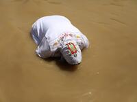 A Coptic Egyptian pilgrim submerges herself in the waters of the Jordan River after she was baptized on April 23, 2019 at the Qasr al-Yahud baptismal site near the West Bank city of Jericho as part of their Easter pilgrimage to the holy Land. According to the gospels Jesus Christ was baptized in the waters of the Jordan River by John the Baptist. GALI TIBBON / AFP