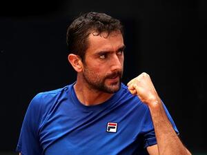 مارين شيليتش