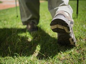 Photo: Alamy