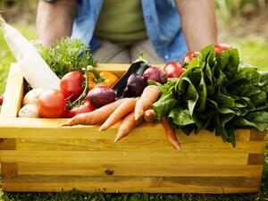 معرض الشرق الأوسط للمنتجات العضوية والطبيعية