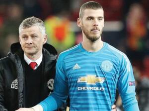 دي خيا وسولشاير