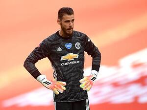 دافيد دي خيا