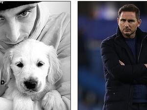 لامبارد من جهة وهافيرتس وكلبه من جهة أخرى