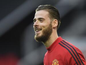 دافيد دي خيا