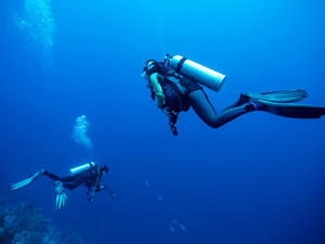 (Shutterstock/ File Photo)