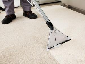 يُكنس الموكيت أسبوعيًّا بواسطة مكنسة كهربائية تمتصُّ الأوساخ من أعماق الألياف  يُكنس الموكيت أسبوعيًّا بواسطة مكنسة كهربائية تمتصُّ الأوساخ من أعماق الألياف