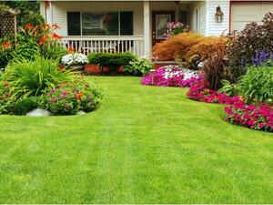 إذا توافرت مساحة كافية، يمكن الاستعانة بالأوعية الضخمة التي تحضن الشتول والزهرات  إذا توافرت مساحة كافية، يمكن الاستعانة بالأوعية الضخمة التي تحضن الشتول والزهرات