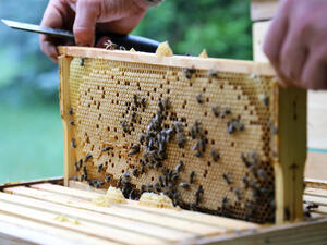 (Shutterstock/ File Photo)