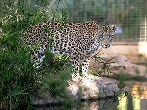 (Shutterstock/ File Photo)