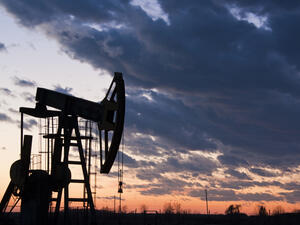 (Shutterstock/ File Photo)