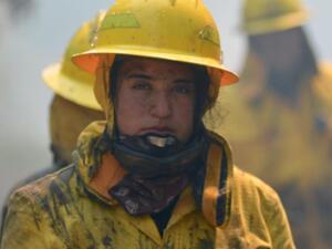 A firefighter working near Concepcion, Chile, where an aircraft assisted teams on the ground working to put out a wildfire.(AFP/AFP/Getty Images)