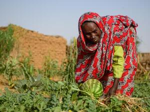 تأكيد "قوى الحرية والتغيير" على إجراء مفاوضات مباشرة مع المجلس العسكري الانتقالي