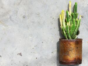  تُمسح الأواني بقليل من زيت جوز الهند وتُجفَّف قبل تخزينها لحمايتها من التعرض إلى الصدأ