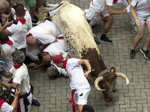 Three people were hospitalized after the first day of the famed Running of the Bulls festival in Pamplona. (AFP/ File Photo)