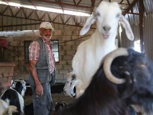 (The Daily Star/Hasan Shaaban)