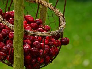 سموثي الكرز للتخلص من آلام المفاصل