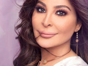 Elissa's tweet received a positive reaction from her followers Source elissazkh Instagram