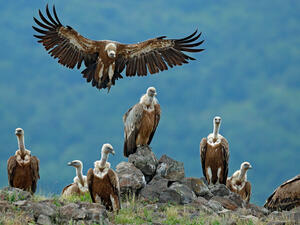 (Shutterstock/ File Photo)