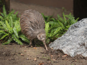 (Shutterstock/ File Photo)